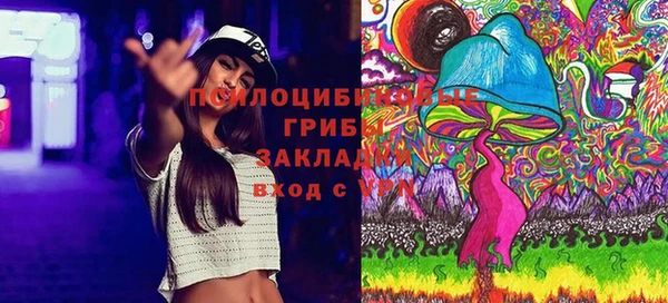 амф Алзамай