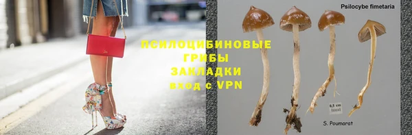 твердый Алексин