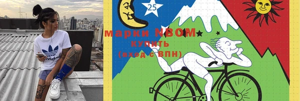 твердый Алексин