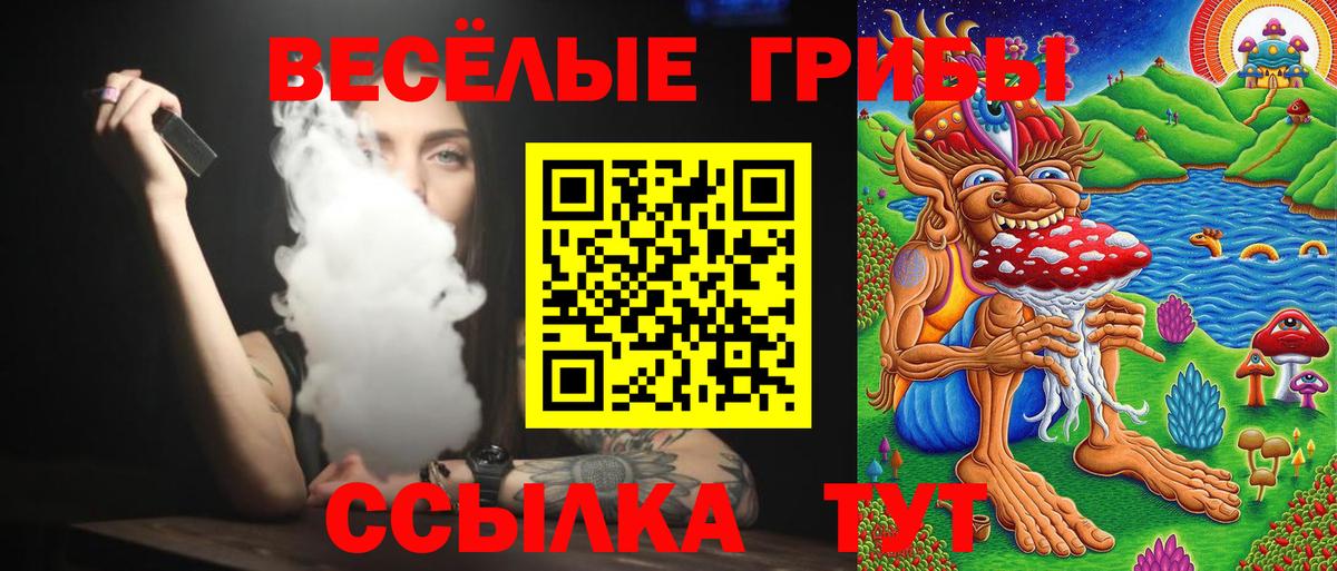 Псилоцибиновые грибы MAGIC MUSHROOMS Анжеро-Судженск