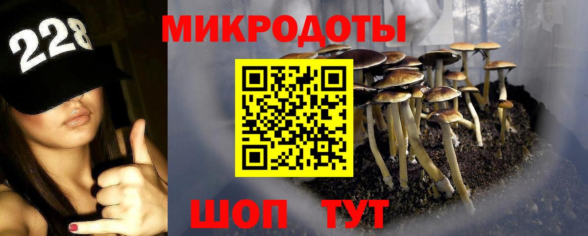 Анжеро-Судженск  Псилоцибиновые грибы Magic Shrooms  Псилоцибиновые грибы Psilocybine cubensis  Вход с VPN 